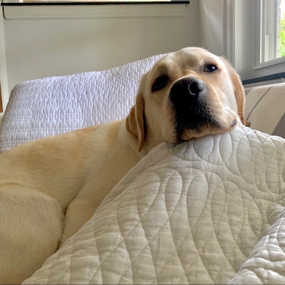 New sidekick trip to the lake .... - Picture 5 of 13